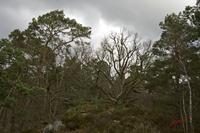 Cjp_2010_03_31_090112 (1).jpg